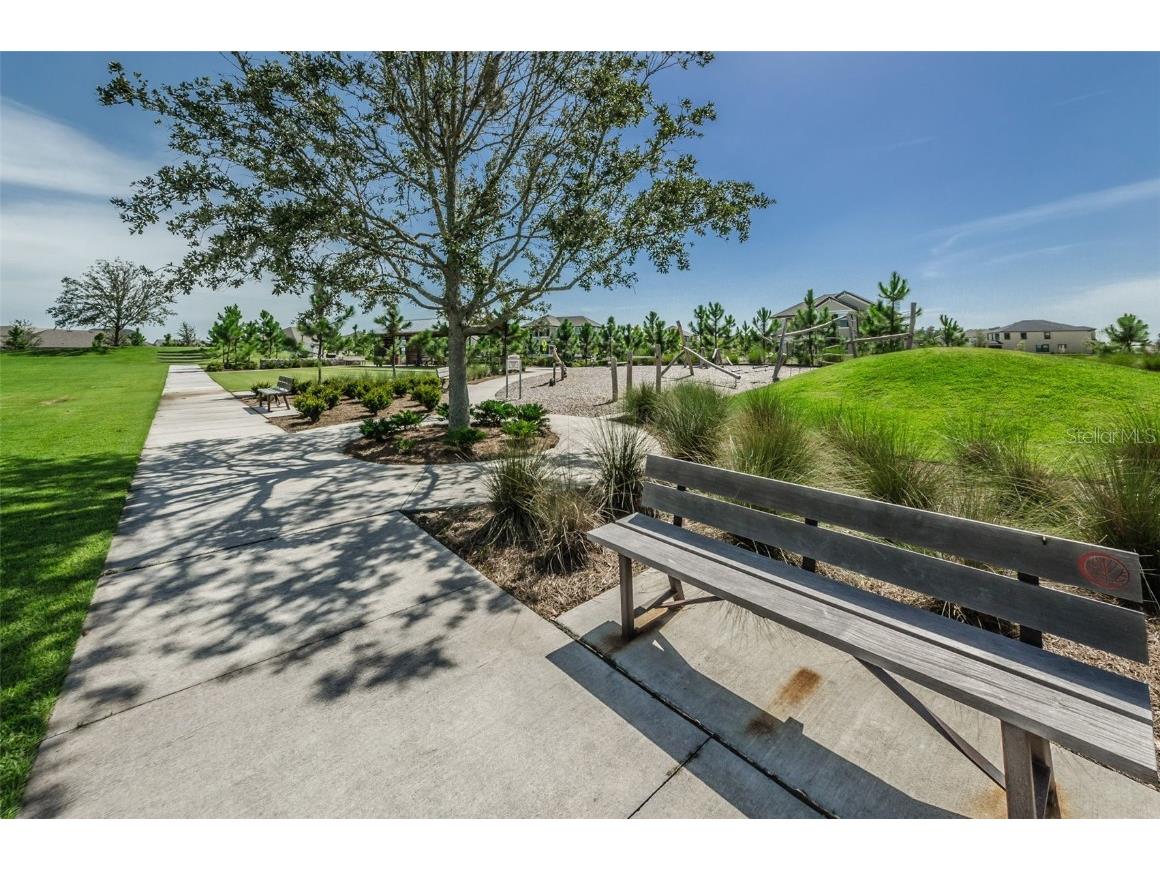 12610 Rangeland Boulevard Odessa FL 33556 U8249173 image67
