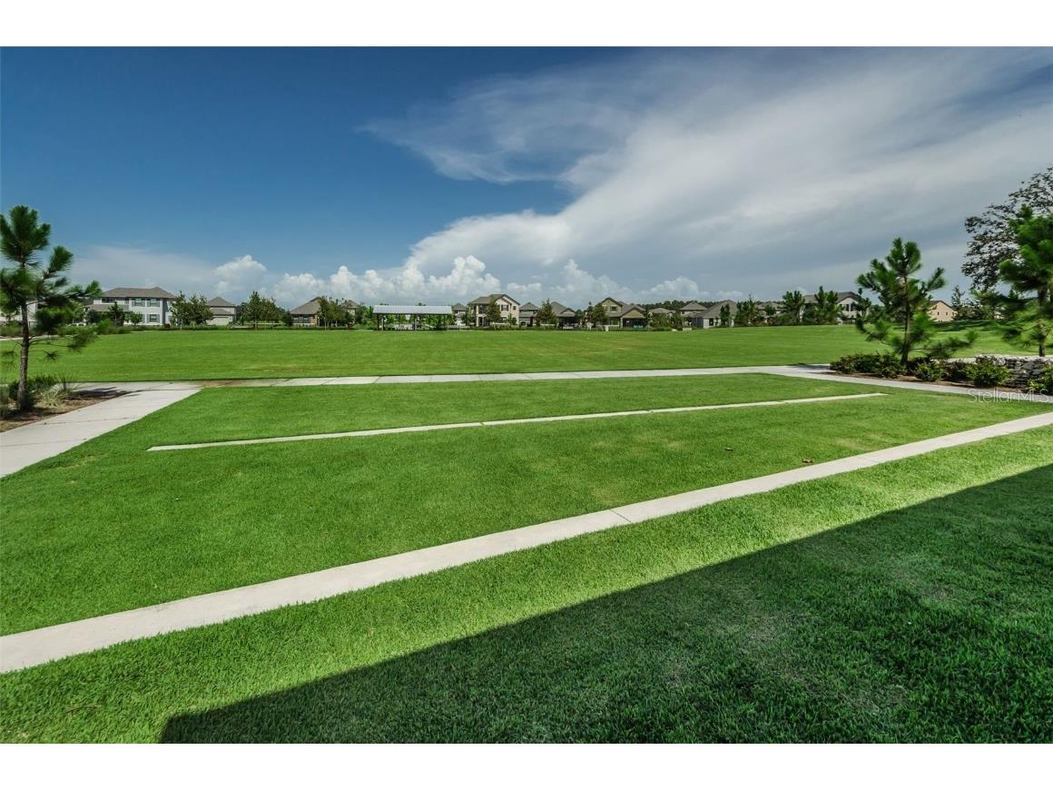 12610 Rangeland Boulevard Odessa FL 33556 U8249173 image72