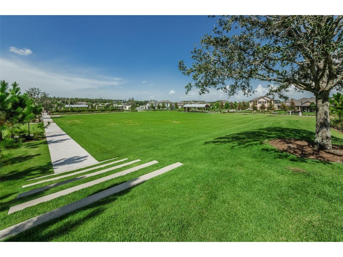 12610 Rangeland Boulevard Odessa FL 33556 U8249173 image73