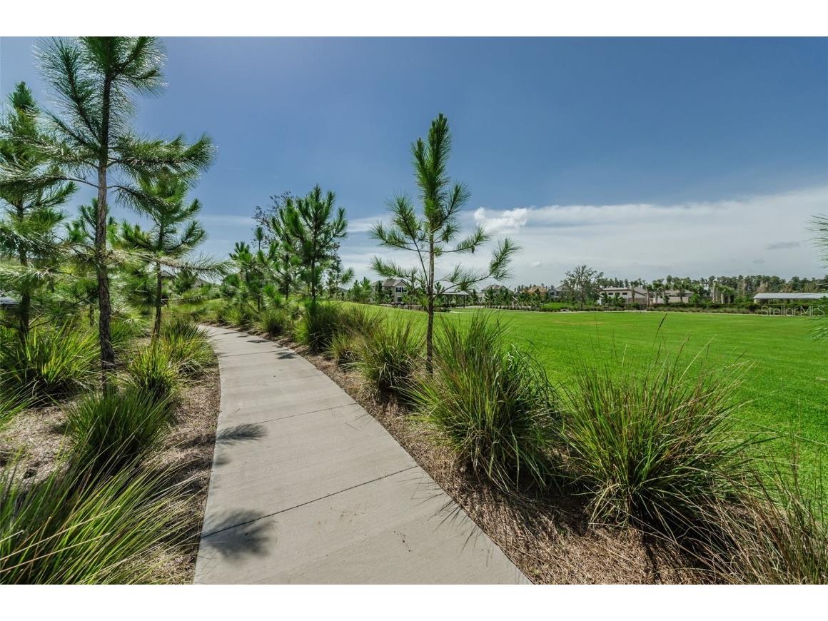 12610 Rangeland Boulevard Odessa FL 33556 U8249173 image74