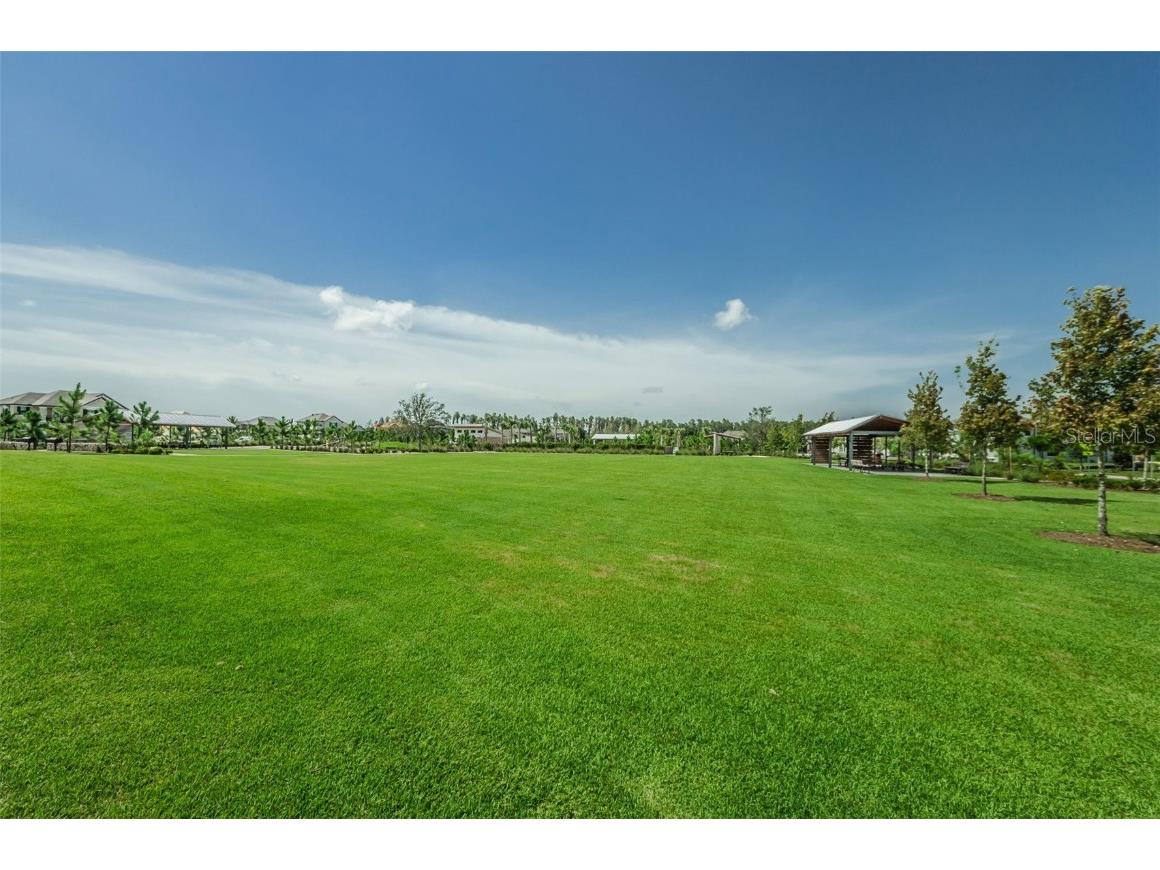 12610 Rangeland Boulevard Odessa FL 33556 U8249173 image75