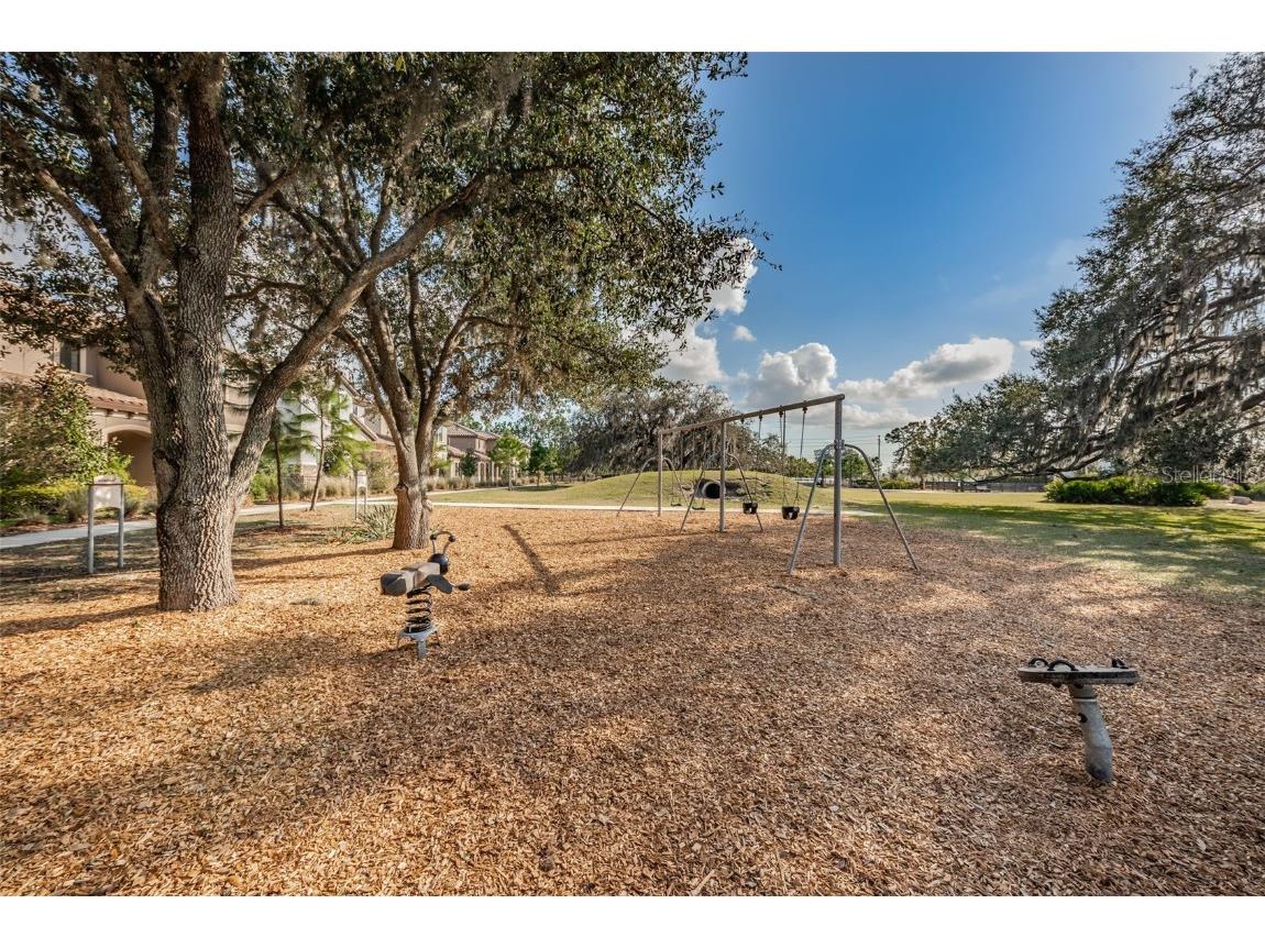 12610 Rangeland Boulevard Odessa FL 33556 U8249173 image82