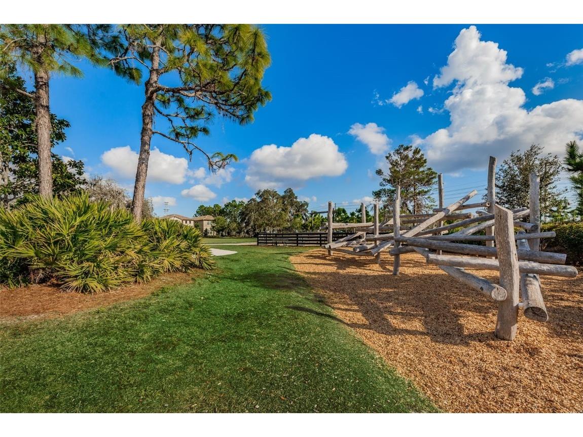 12610 Rangeland Boulevard Odessa FL 33556 U8249173 image83