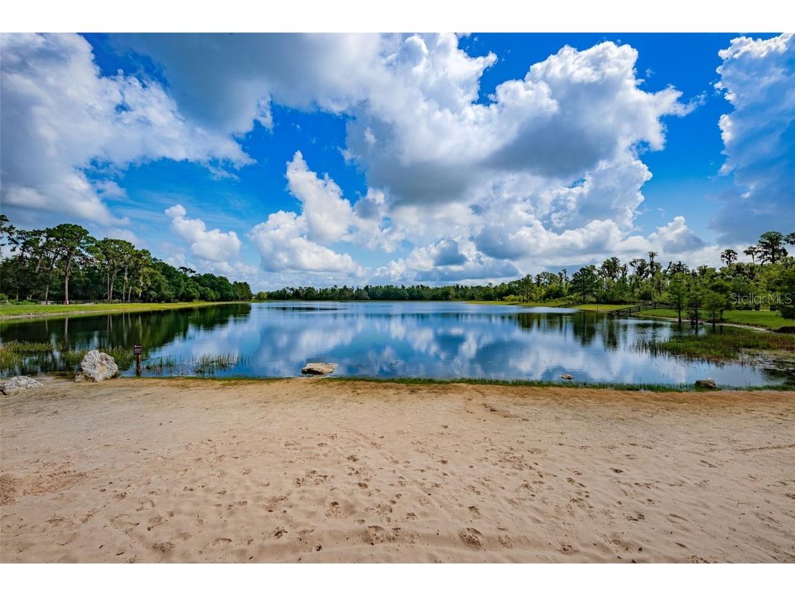 12610 Rangeland Boulevard Odessa FL 33556 U8249173 image94
