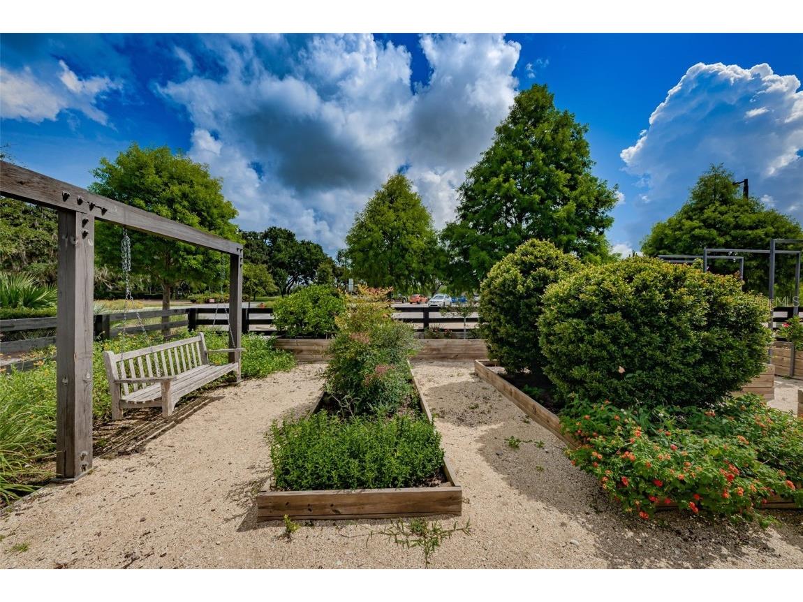 12610 Rangeland Boulevard Odessa FL 33556 U8249173 image95
