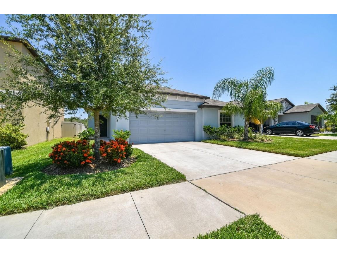12611 Lemon Pepper Drive Riverview FL 33578 T3452109 image1