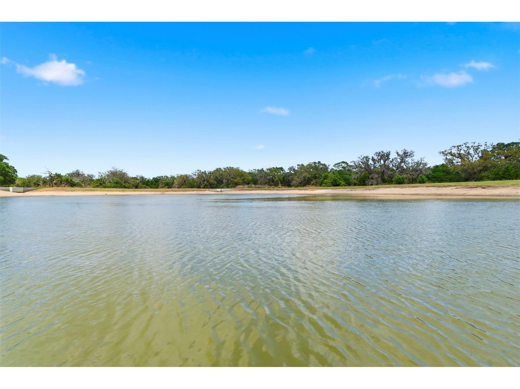 12611 Lemon Pepper Drive Riverview FL 33578 TB8498200 image25