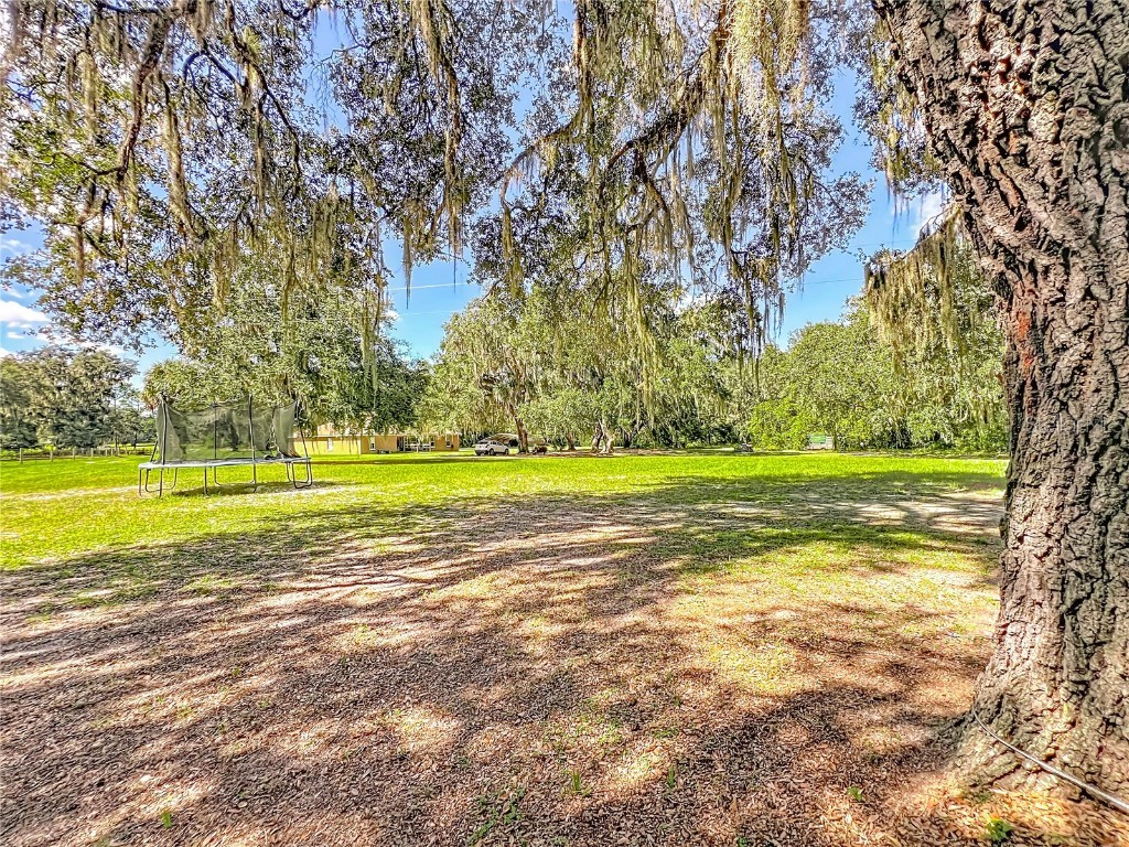 12611 NE 36th Avenue Anthony FL 32617 O6353666 image80
