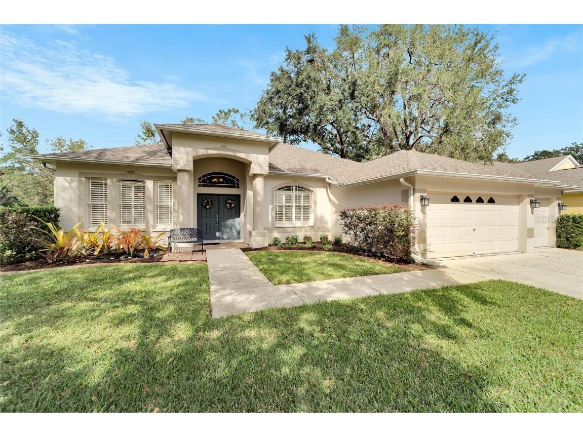 12611 River Birch Drive Riverview FL 33569 TB8320134 image1