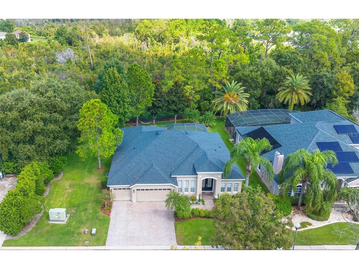 12612 Dallington Terrace Winter Garden FL 34787 O6346486 image3