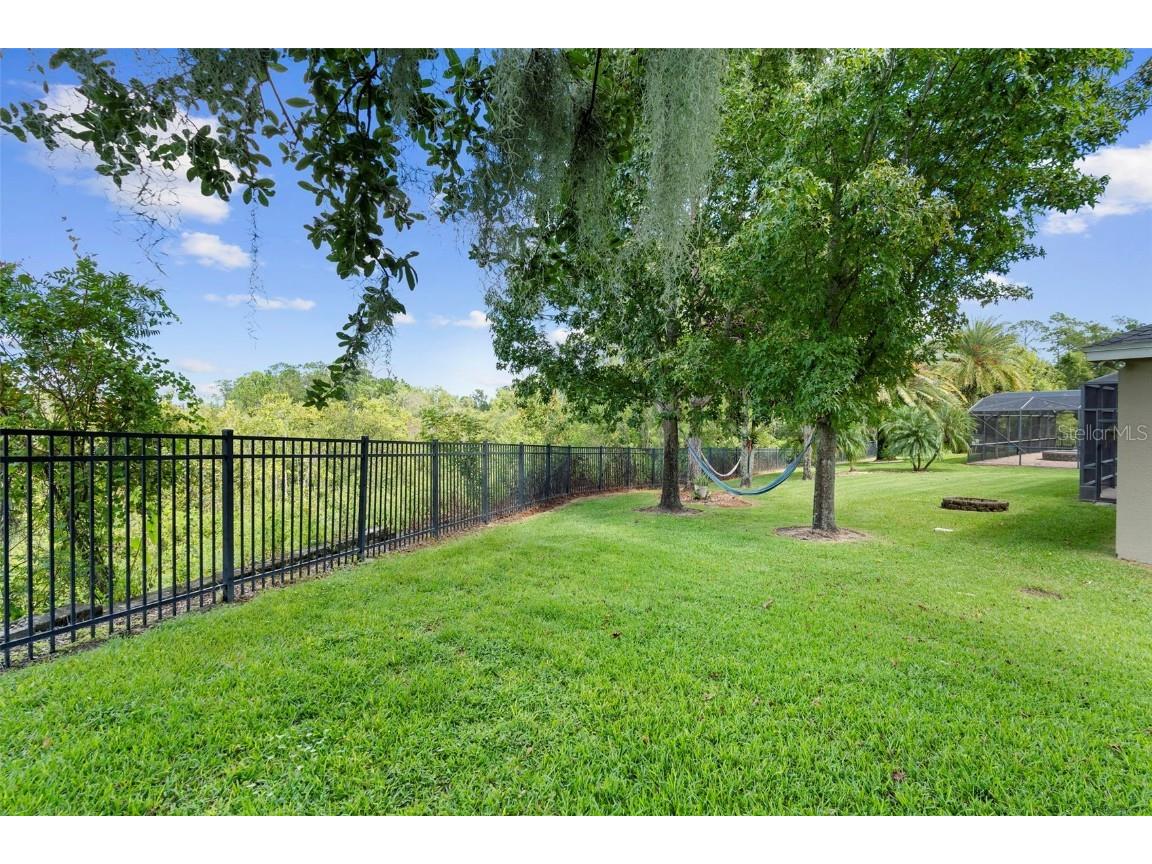 12612 Dallington Terrace Winter Garden FL 34787 O6346486 image36