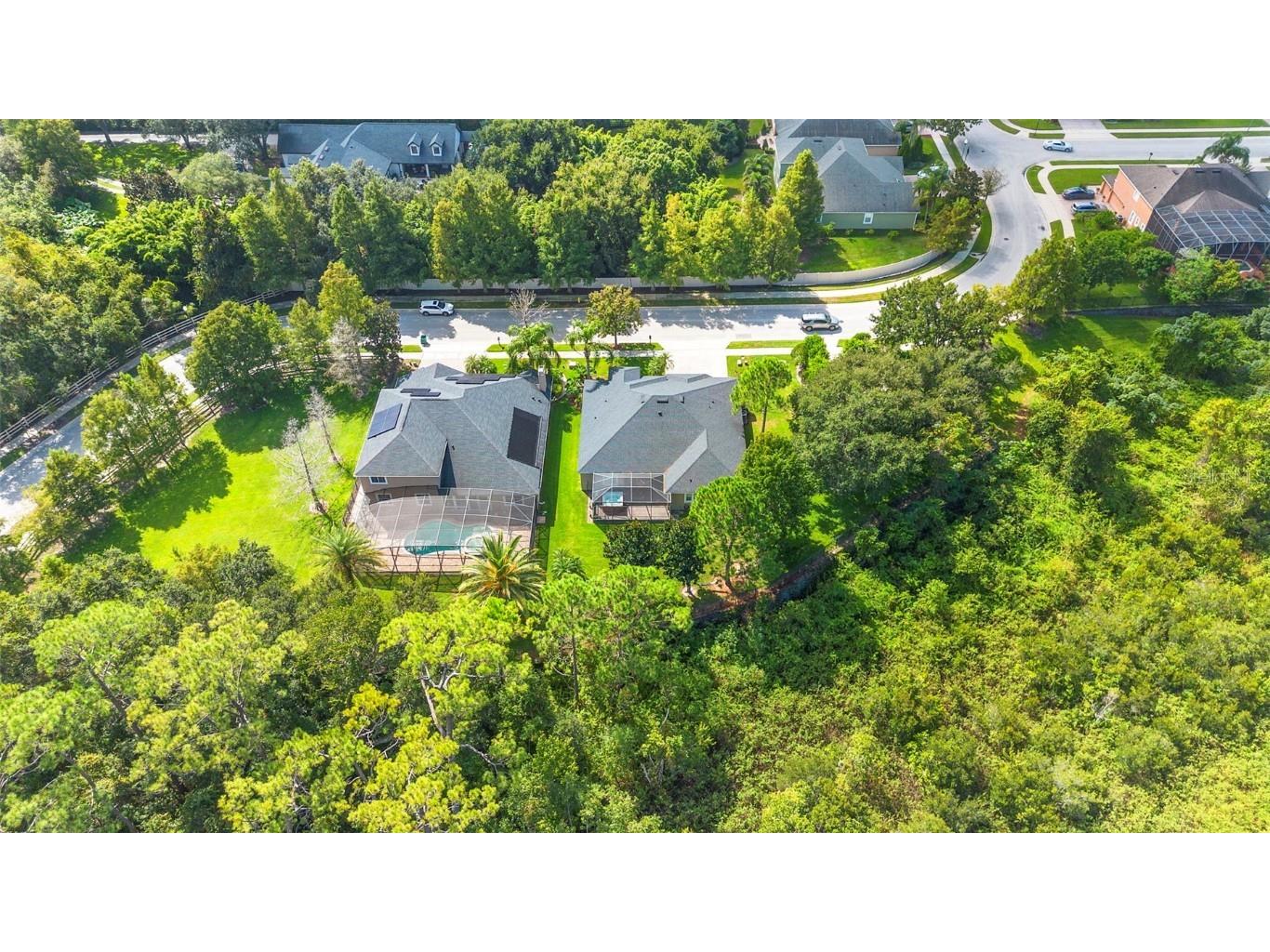 12612 Dallington Terrace Winter Garden FL 34787 O6346486 image42