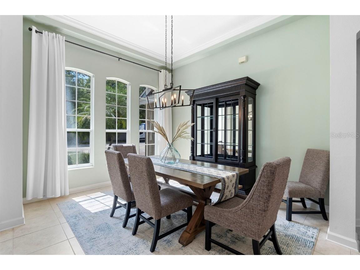 12612 Dallington Terrace Winter Garden FL 34787 O6346486 image6