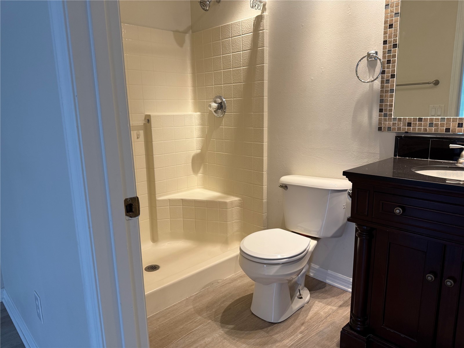 12612 Ocelot Place Riverview FL 33579 TB8517262 image5