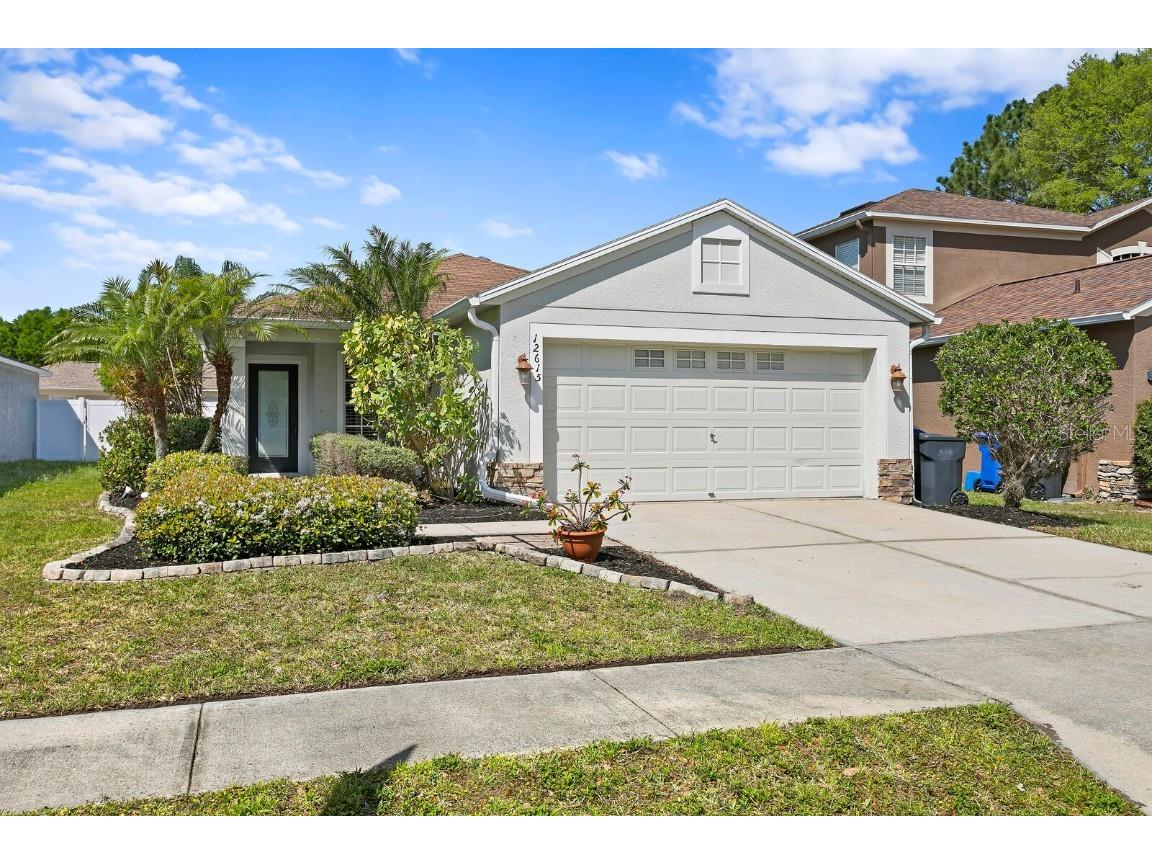 12615 Adventure Drive Riverview FL 33579 T3511136 image1