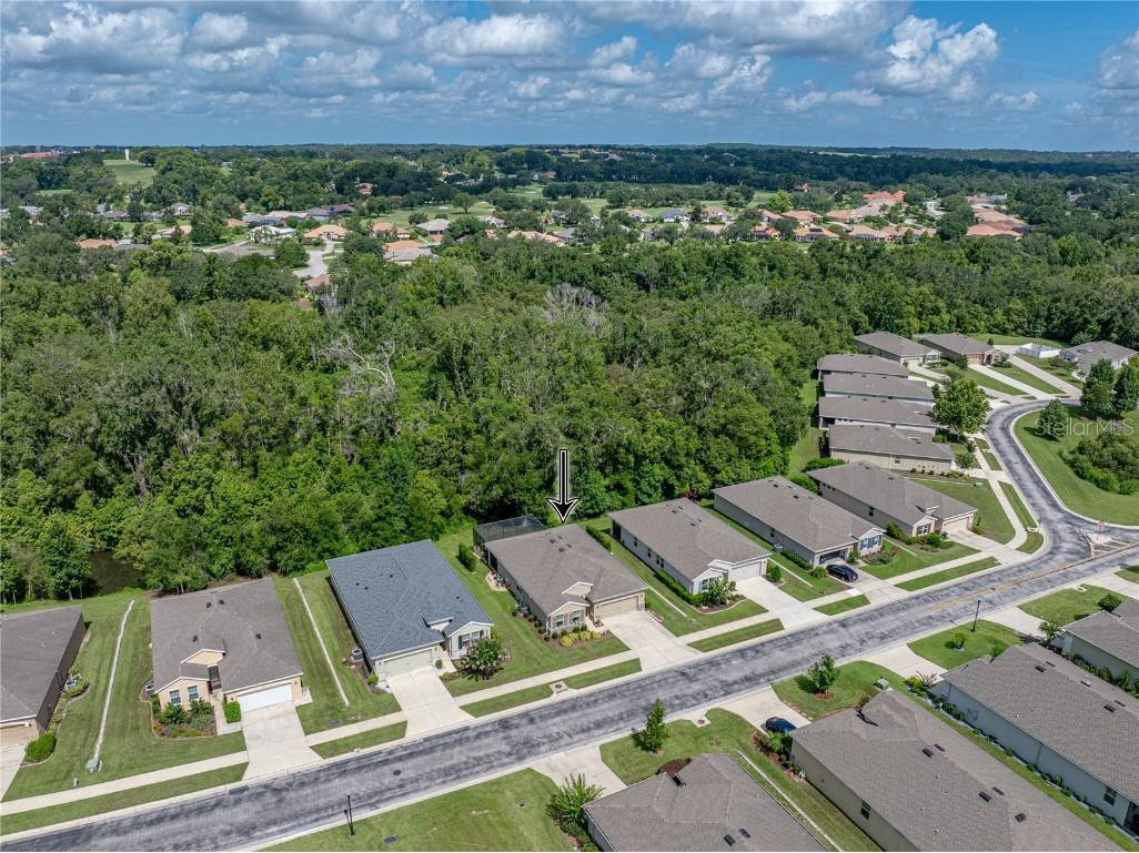 12615 Eastpointe Drive Dade City FL 33525 TB8409687 image2