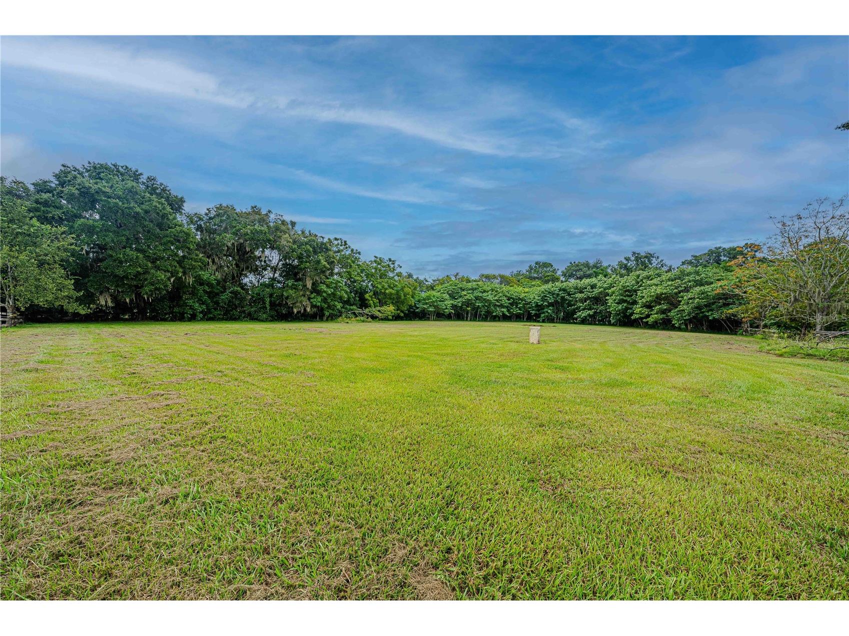 12615 NW Gainesville Road Reddick FL 32686 OM709619 image55