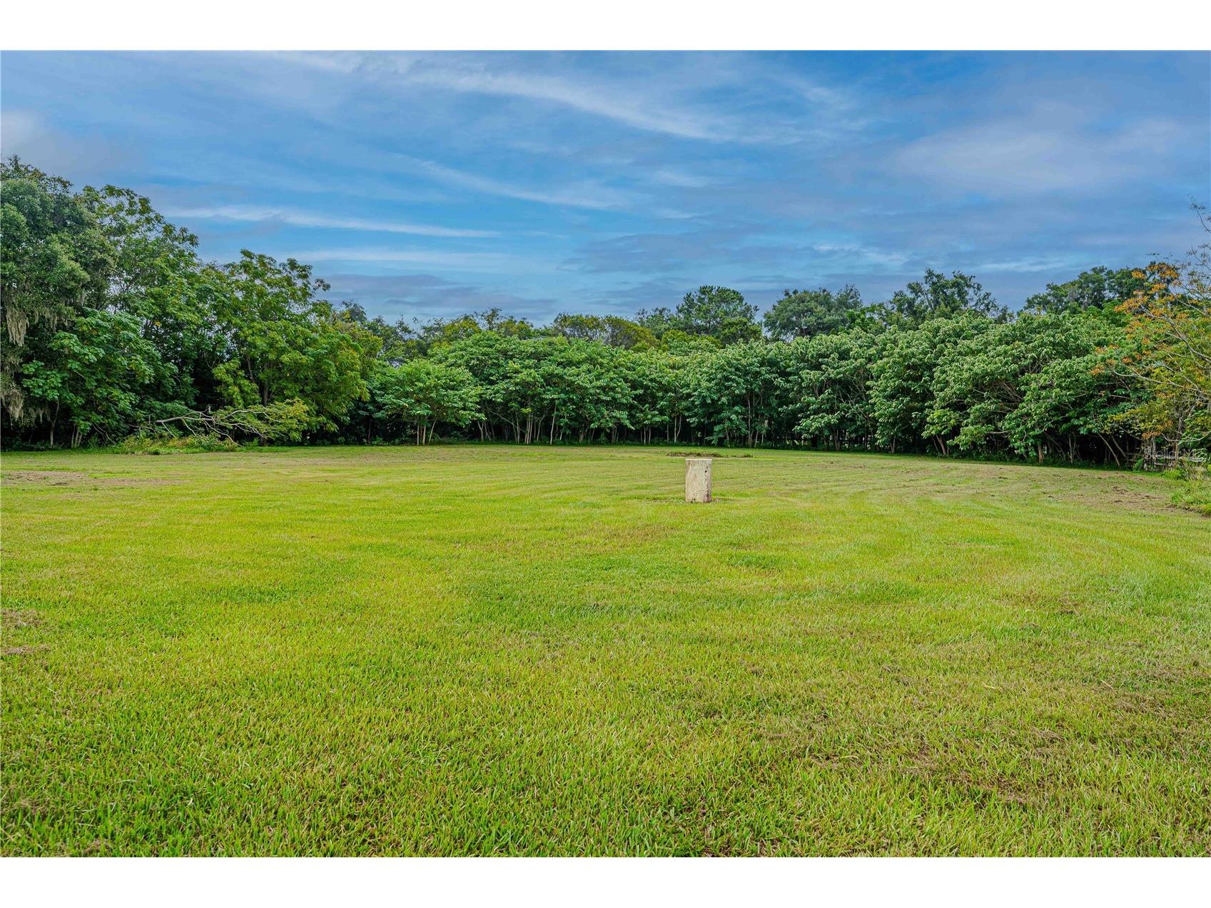 12615 NW Gainesville Road Reddick FL 32686 OM709619 image56