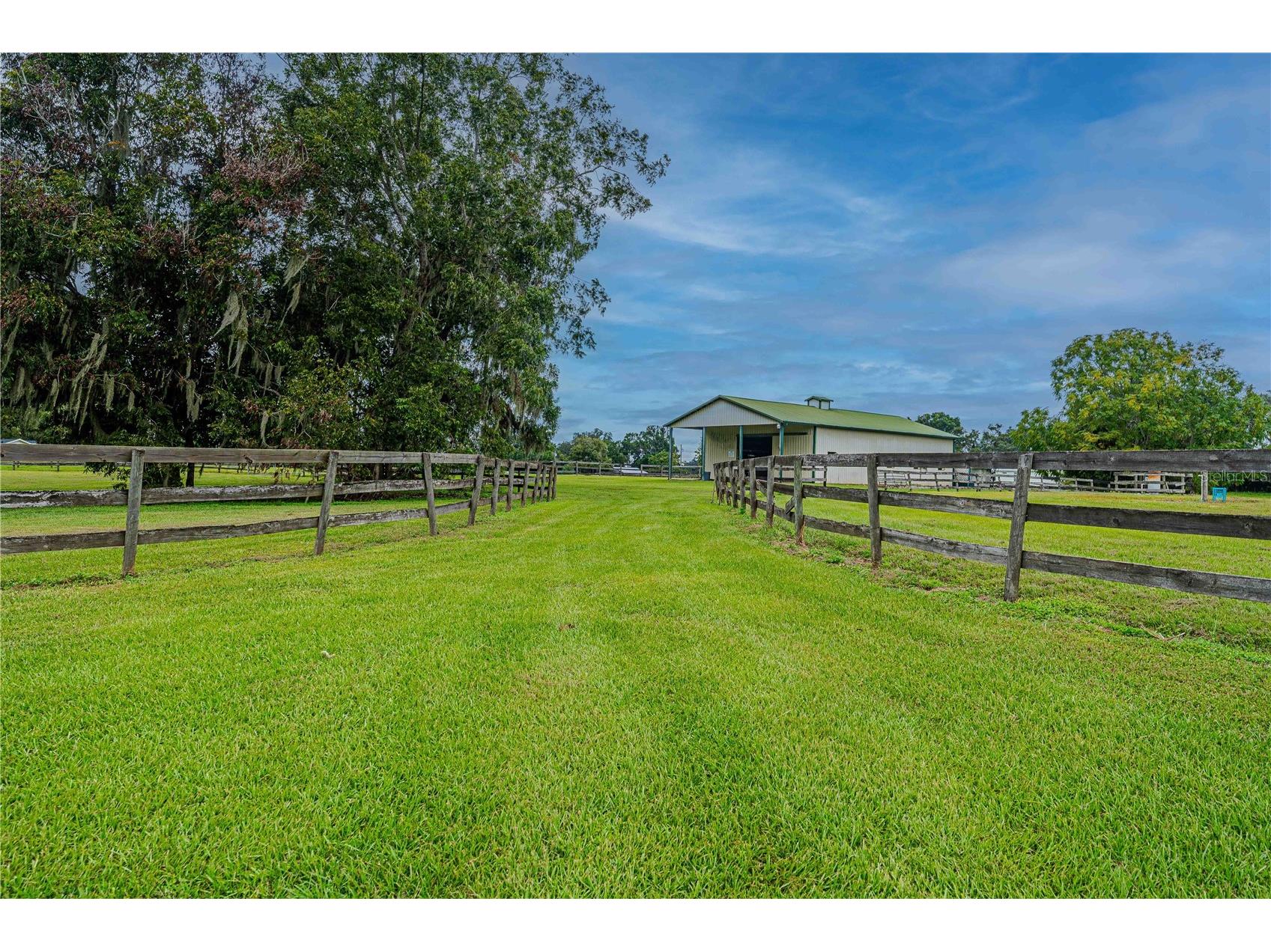 12615 NW Gainesville Road Reddick FL 32686 OM709619 image57