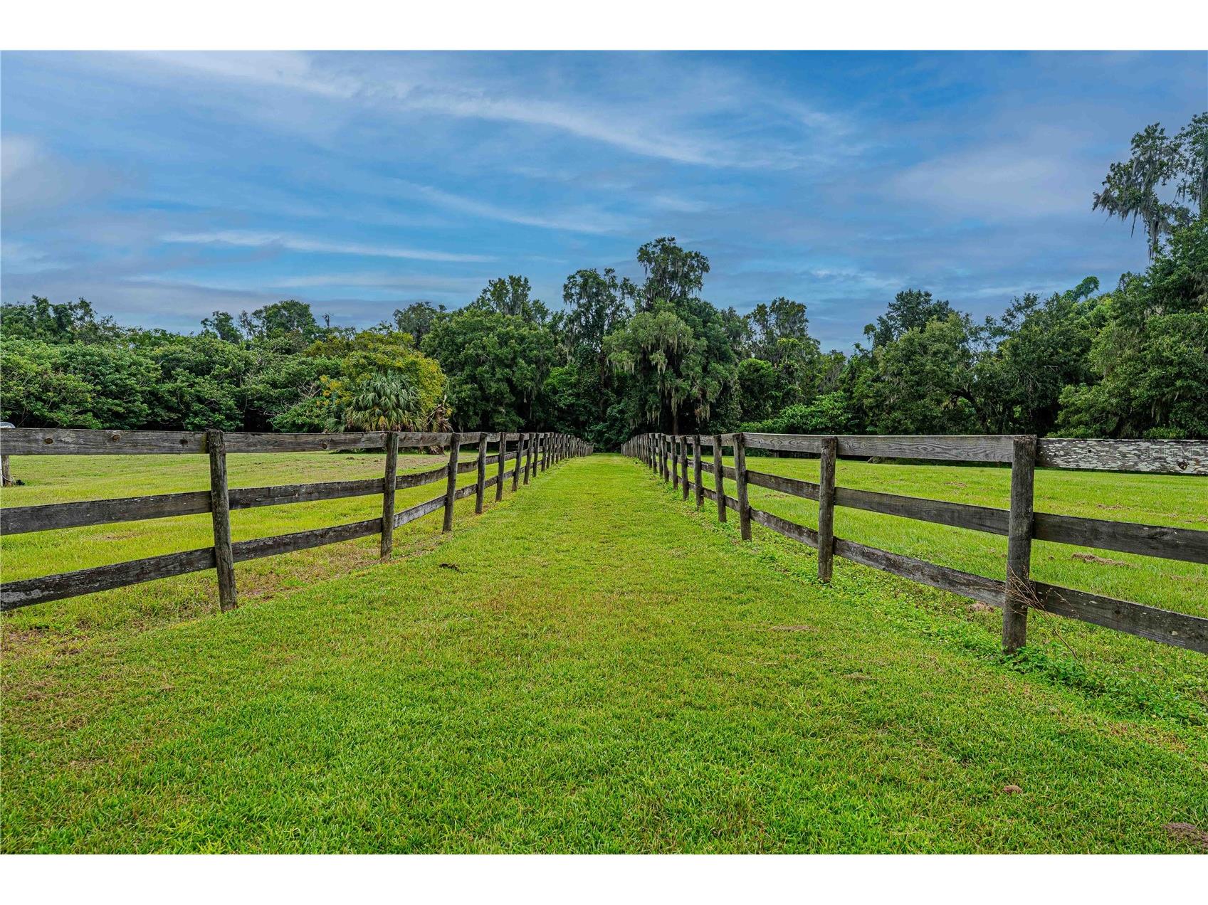 12615 NW Gainesville Road Reddick FL 32686 OM709619 image65