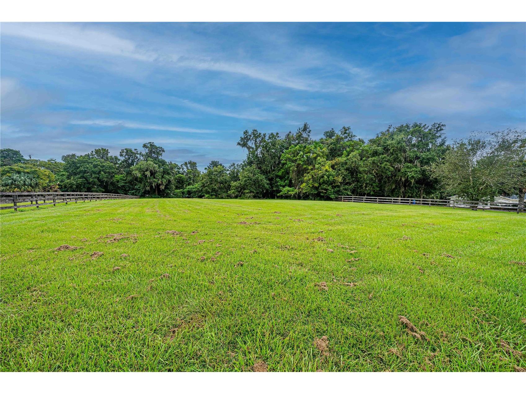 12615 NW Gainesville Road Reddick FL 32686 OM709619 image67