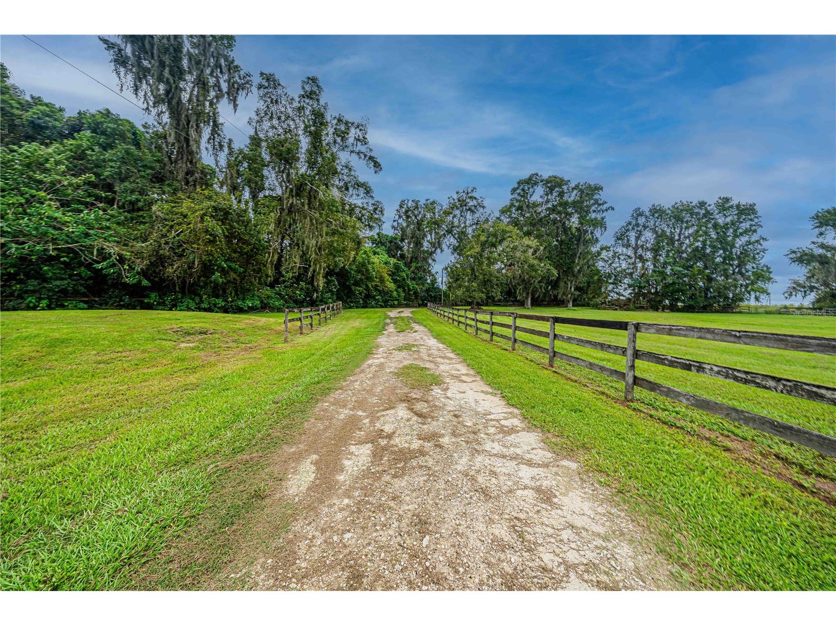 12615 NW Gainesville Road Reddick FL 32686 OM709619 image69