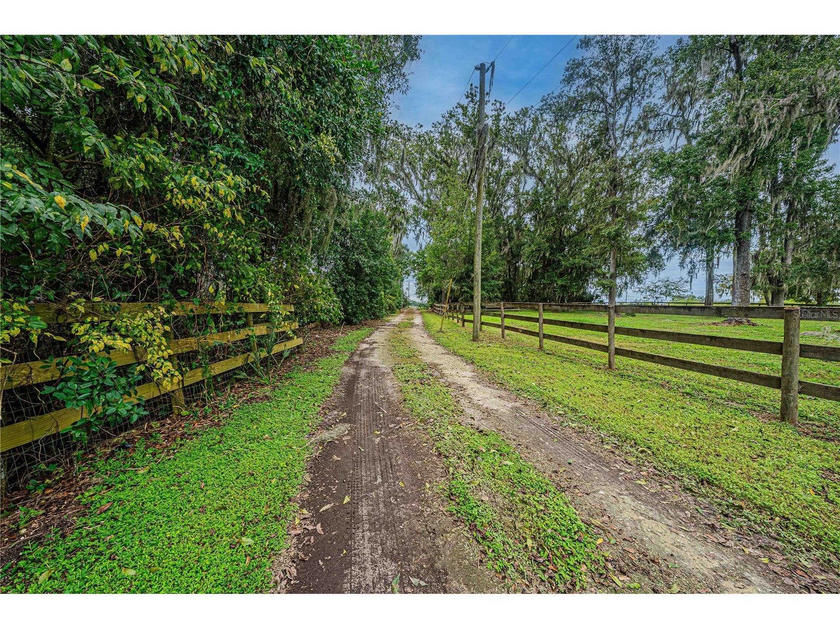 12615 NW Gainesville Road Reddick FL 32686 OM709619 image70