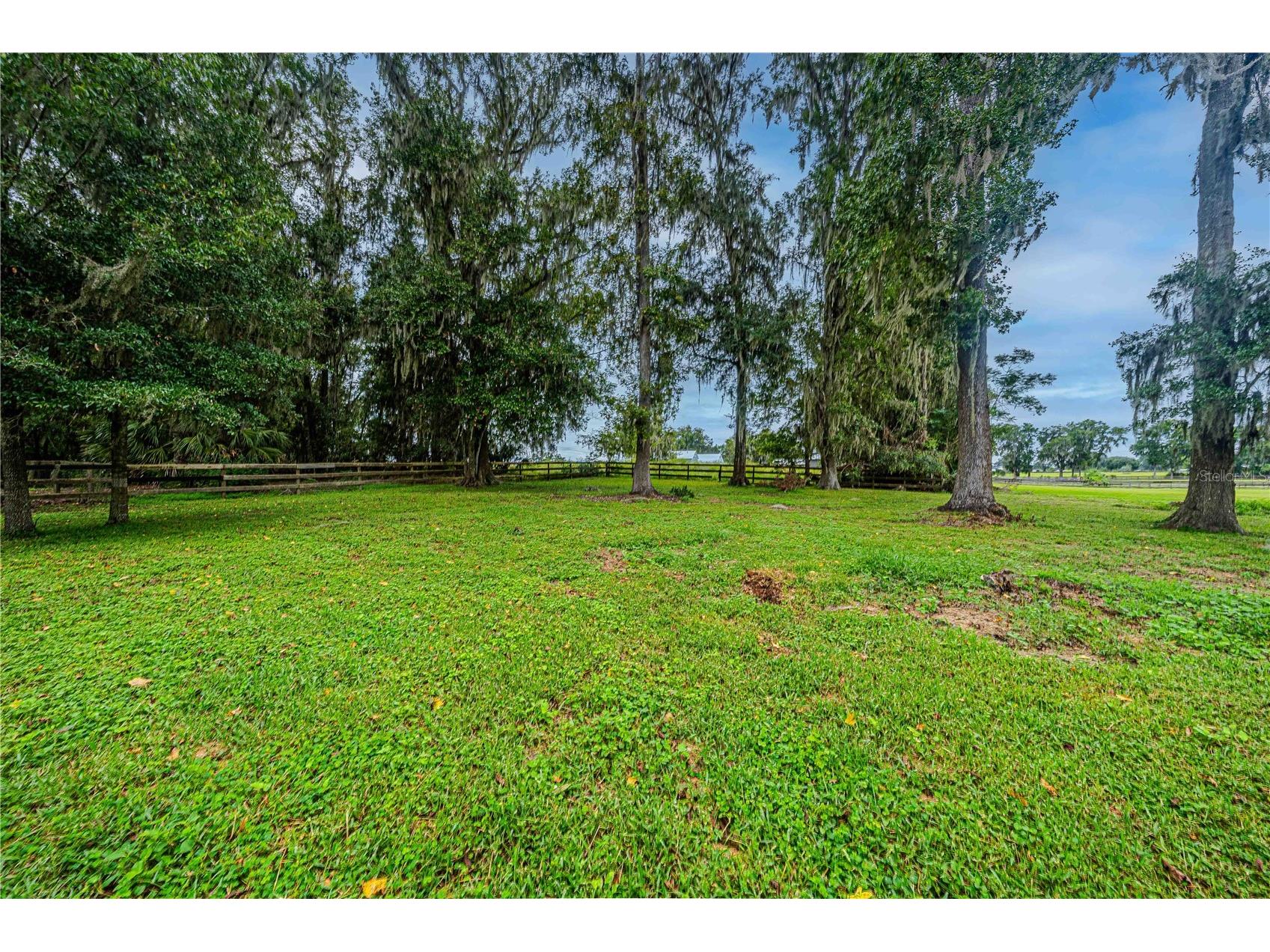 12615 NW Gainesville Road Reddick FL 32686 OM709619 image71