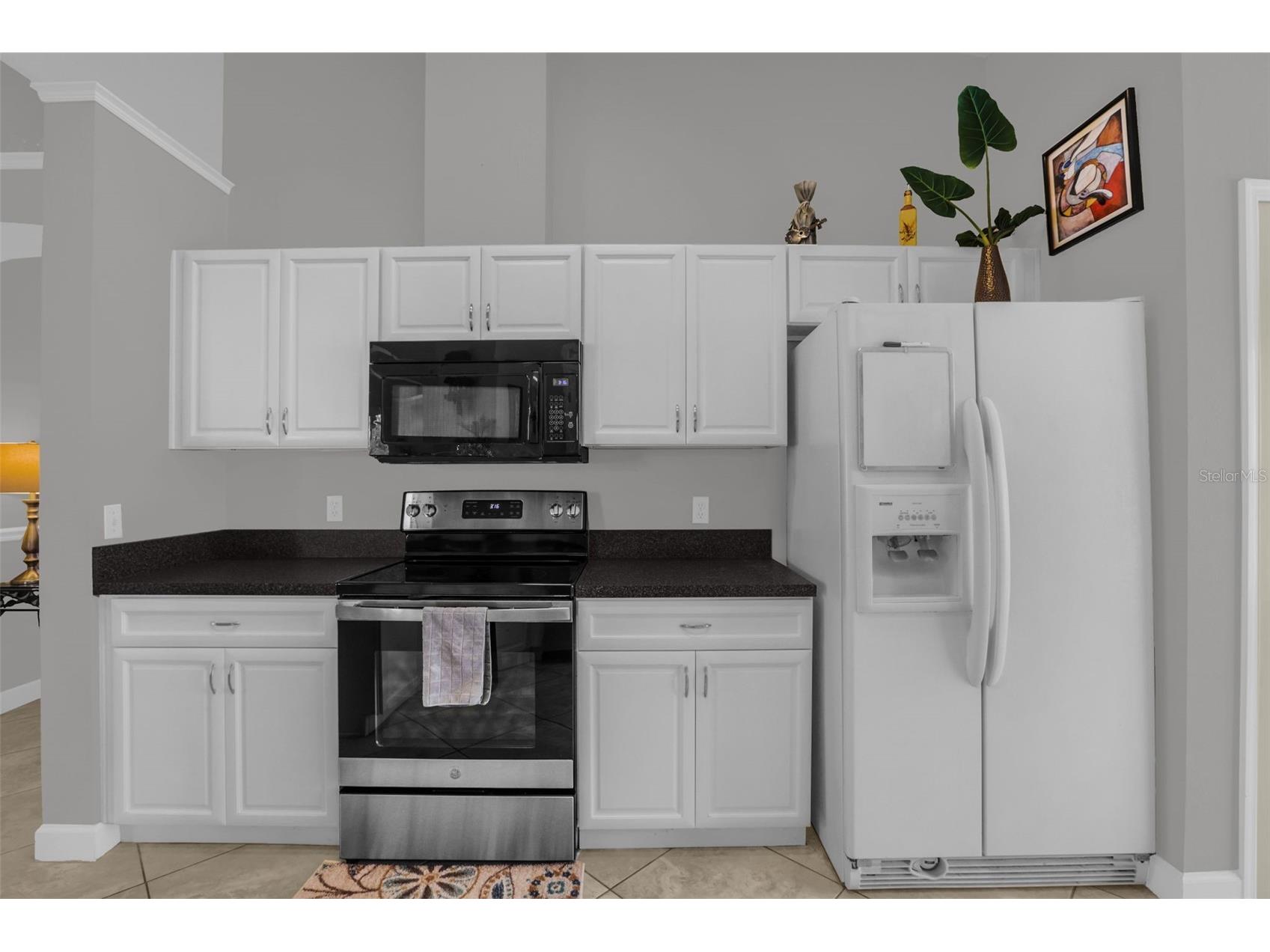 12616 Gettysburg Circle Orlando FL 32837 O6409629 image11