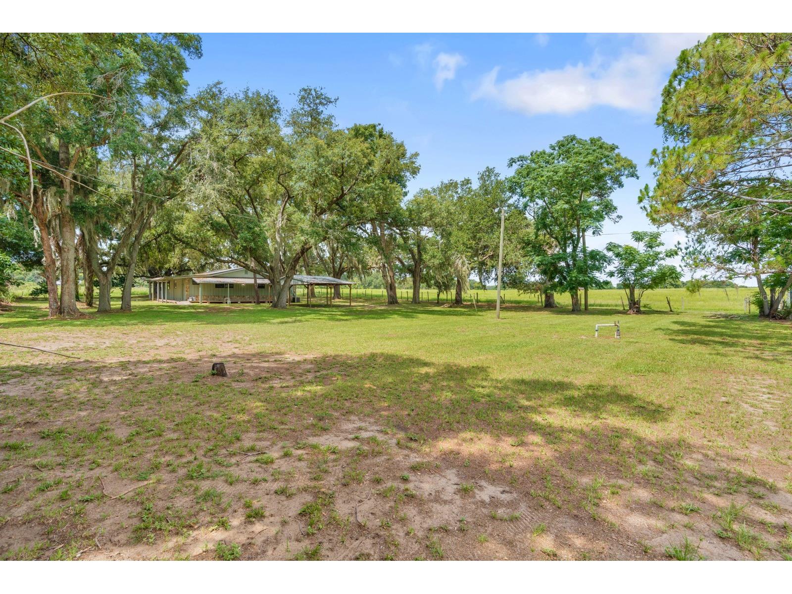 12616 Thonotosassa Road Thonotosassa FL 33592 TB8524179 image35