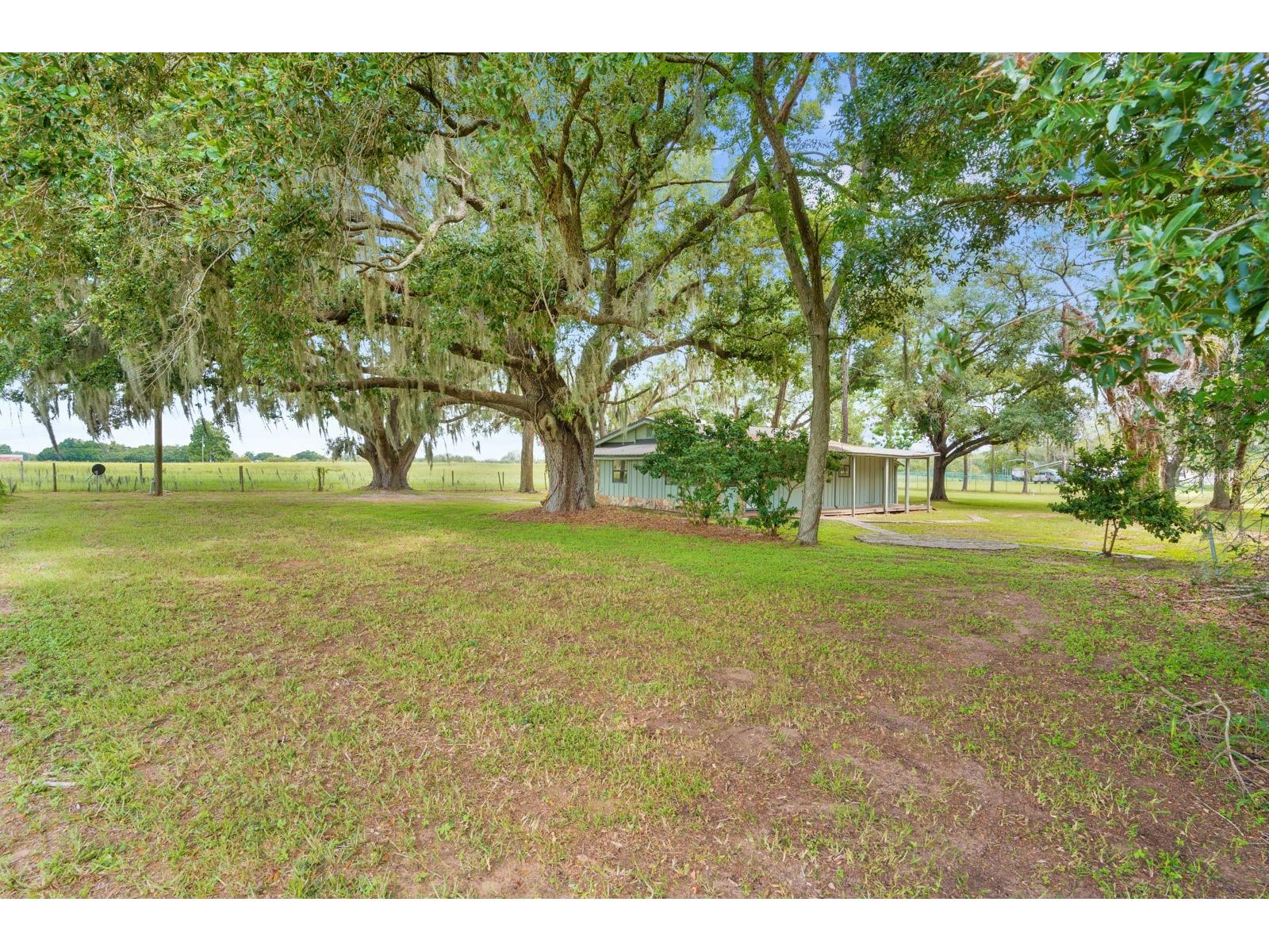 12616 Thonotosassa Road Thonotosassa FL 33592 TB8524179 image36