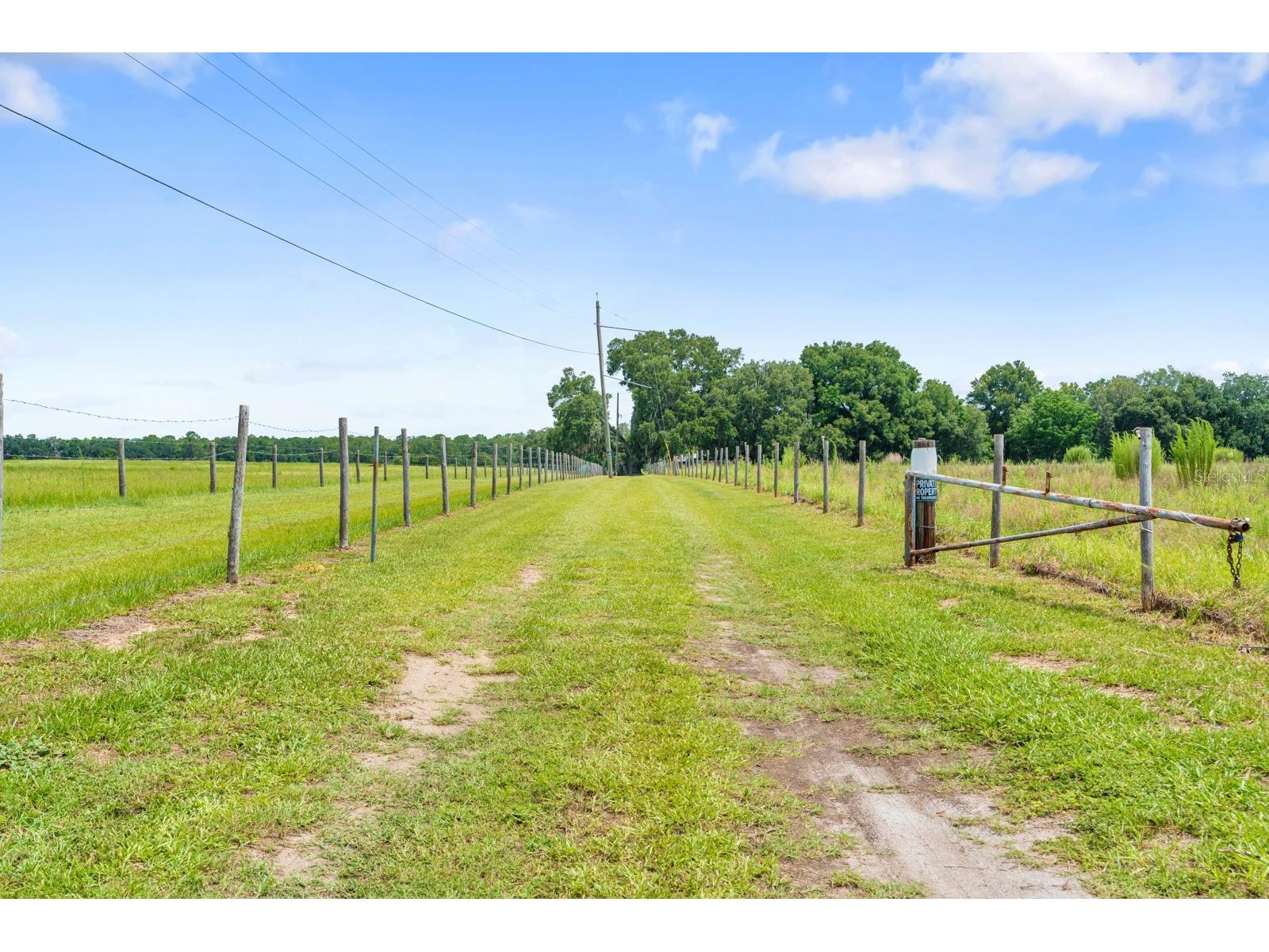 12616 Thonotosassa Road Thonotosassa FL 33592 TB8524179 image37