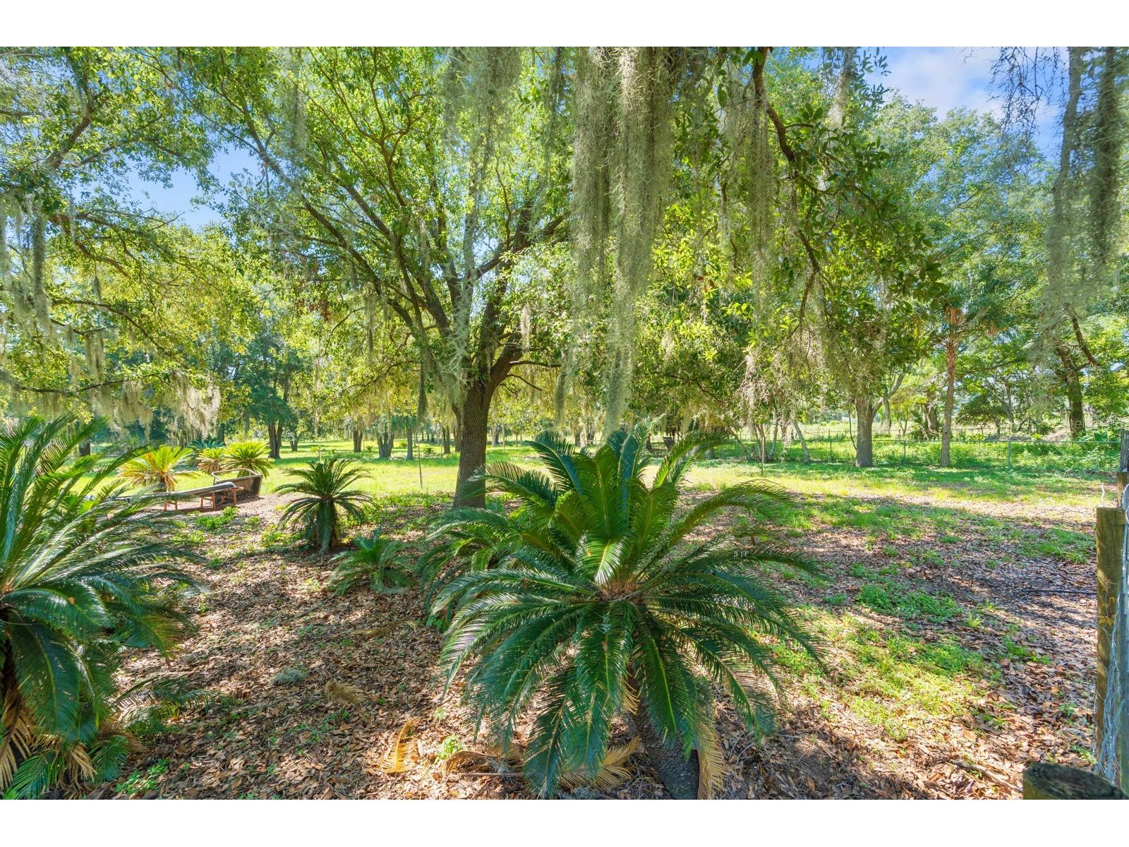 12616 Thonotosassa Road Thonotosassa FL 33592 TB8524179 image38