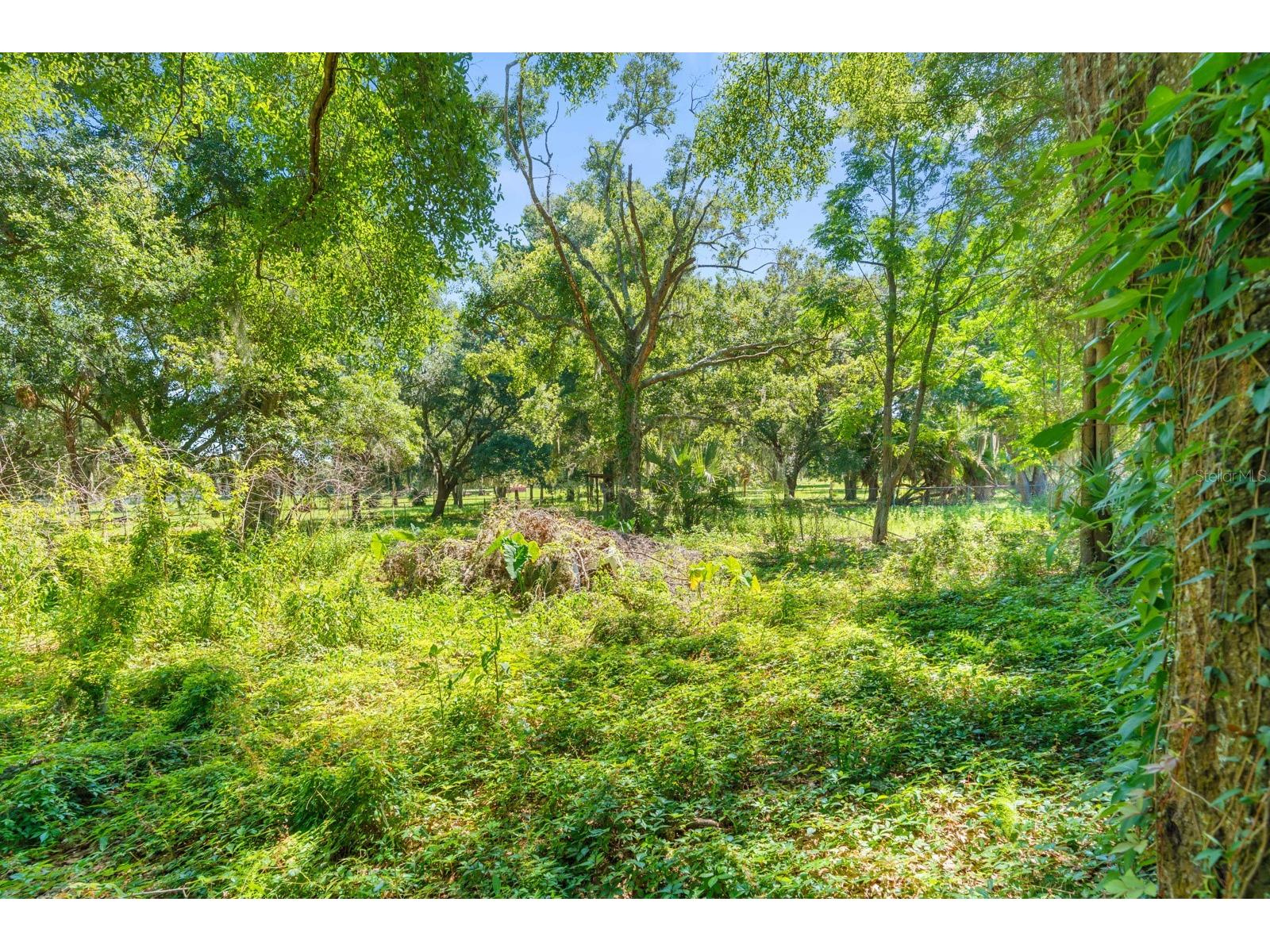 12616 Thonotosassa Road Thonotosassa FL 33592 TB8524179 image41