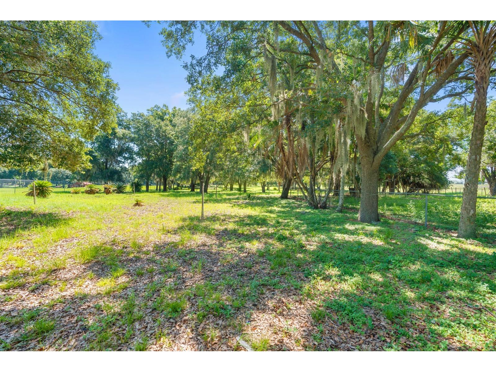 12616 Thonotosassa Road Thonotosassa FL 33592 TB8524179 image43