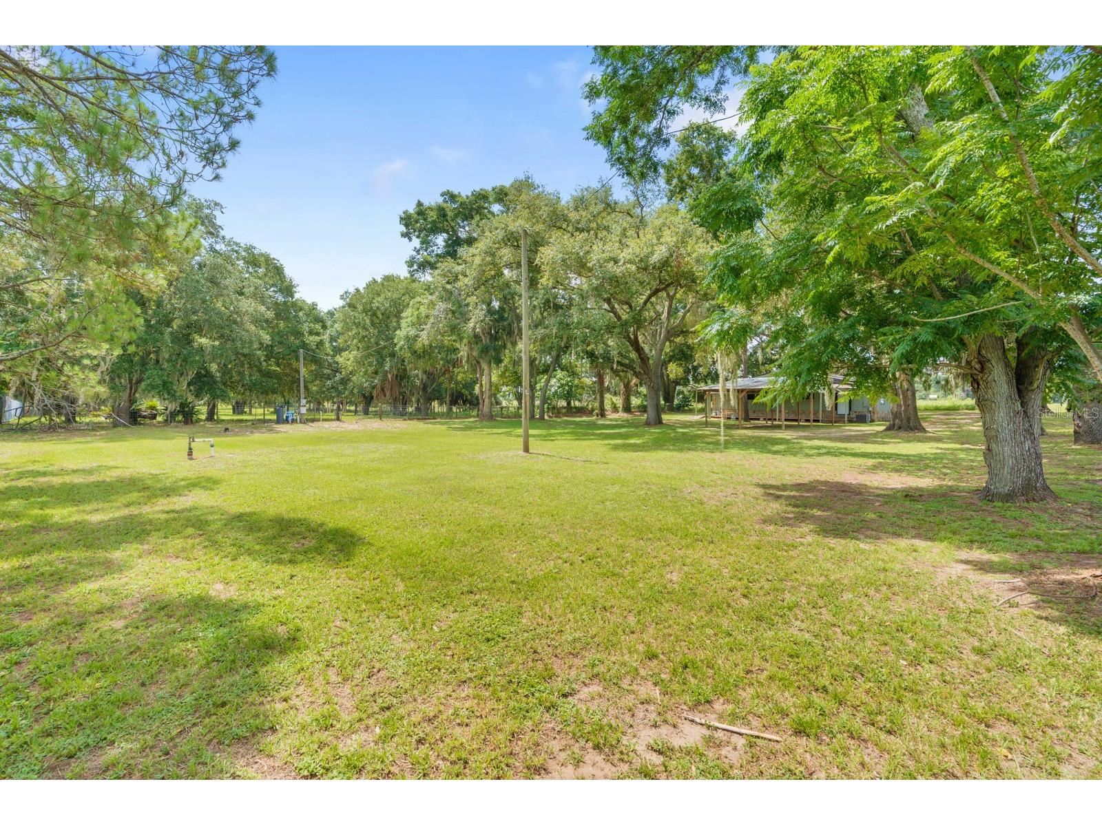12616 Thonotosassa Road Thonotosassa FL 33592 TB8524179 image45