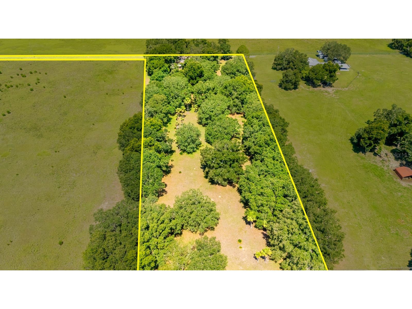 12616 Thonotosassa Road Thonotosassa FL 33592 TB8524179 image52