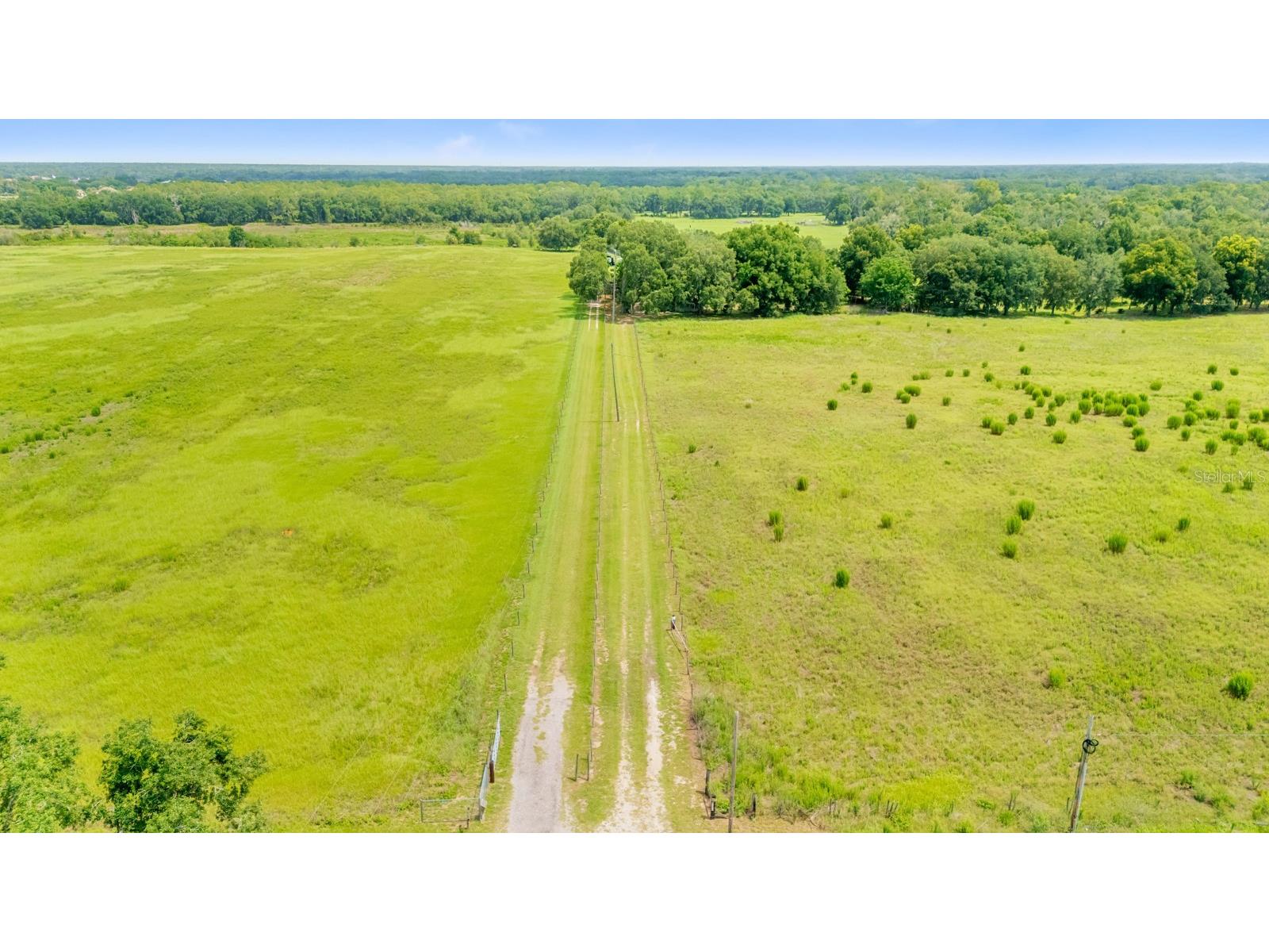 12616 Thonotosassa Road Thonotosassa FL 33592 TB8524179 image53