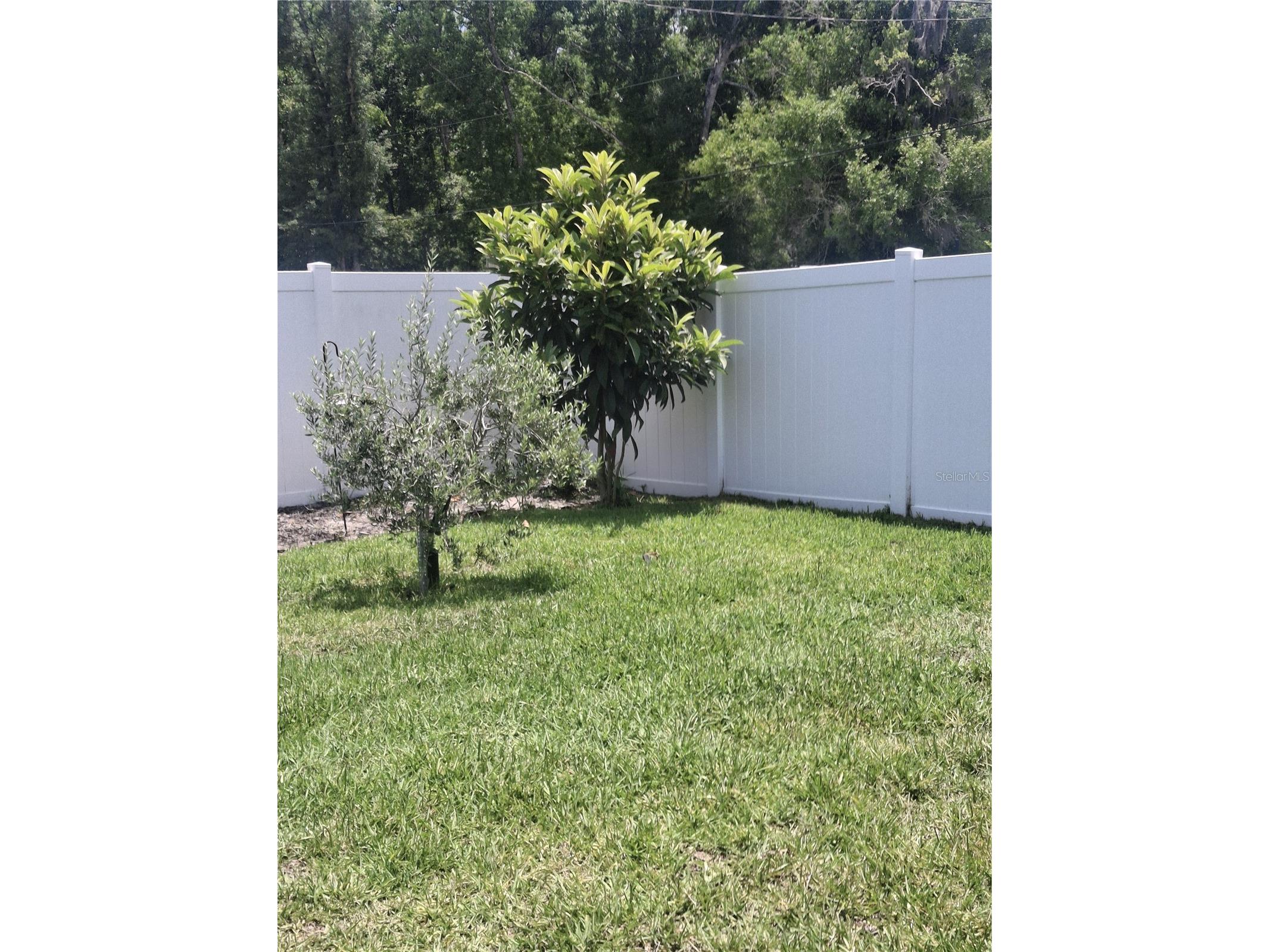 12618 Vander Way New Port Richey FL 34654 W7886558 image20