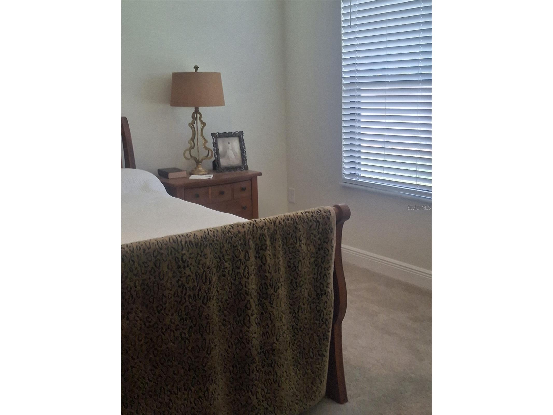 12618 Vander Way New Port Richey FL 34654 W7886558 image8