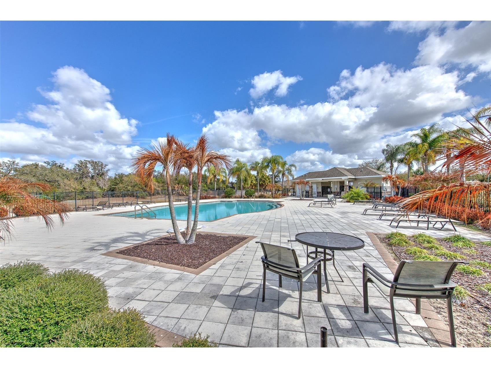 12619 Lemon Pepper Drive Riverview FL 33578 TB8474239 image41