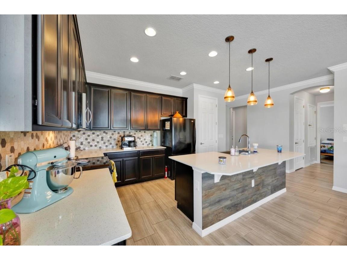 1262 Merion Drive Mount Dora FL 32757 O6341634 image10