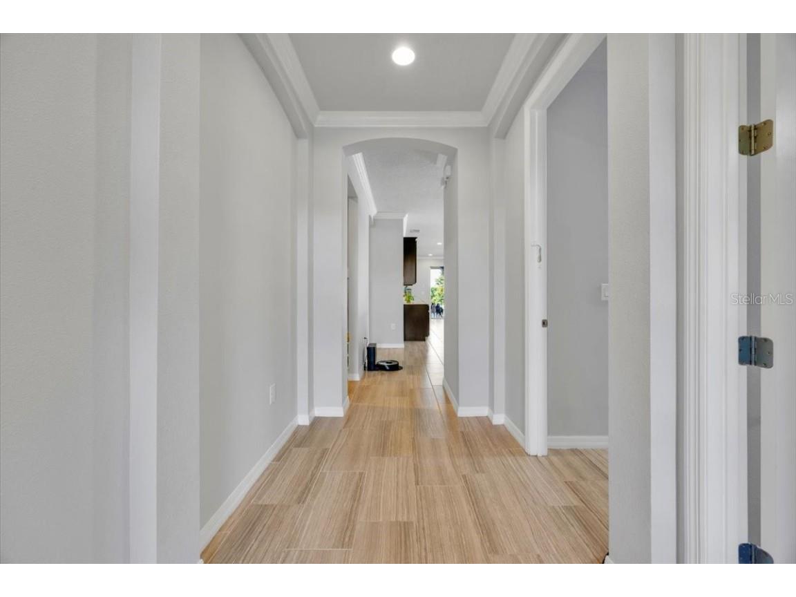 1262 Merion Drive Mount Dora FL 32757 O6341634 image11