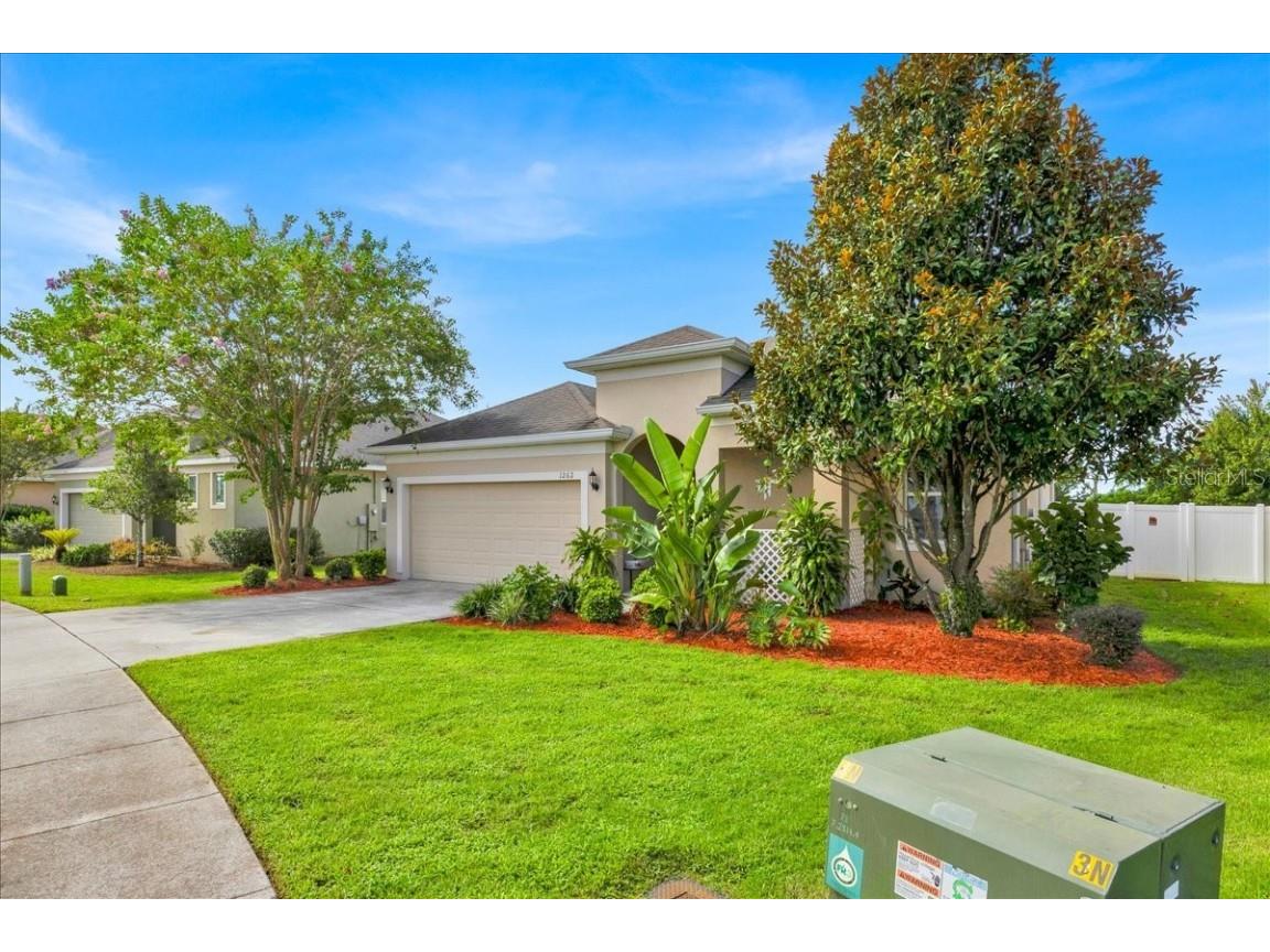 1262 Merion Drive Mount Dora FL 32757 O6341634 image3