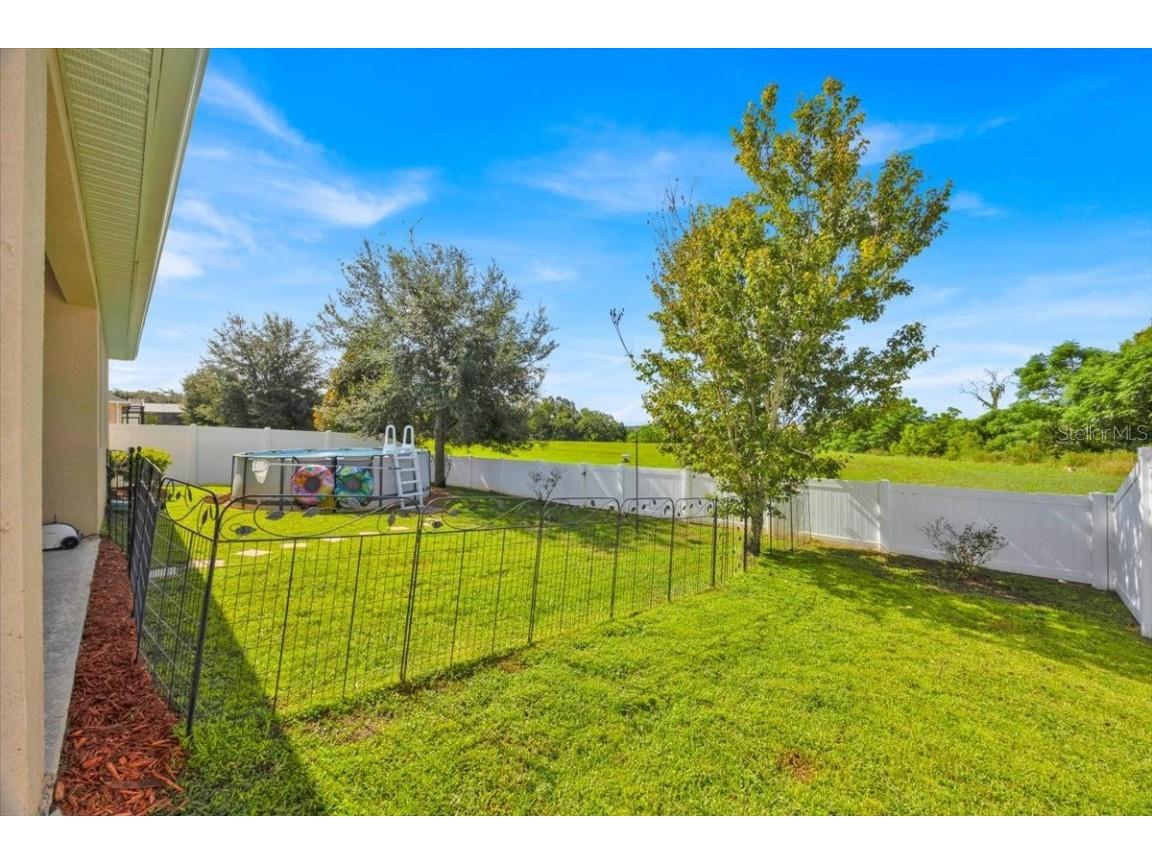 1262 Merion Drive Mount Dora FL 32757 O6341634 image44