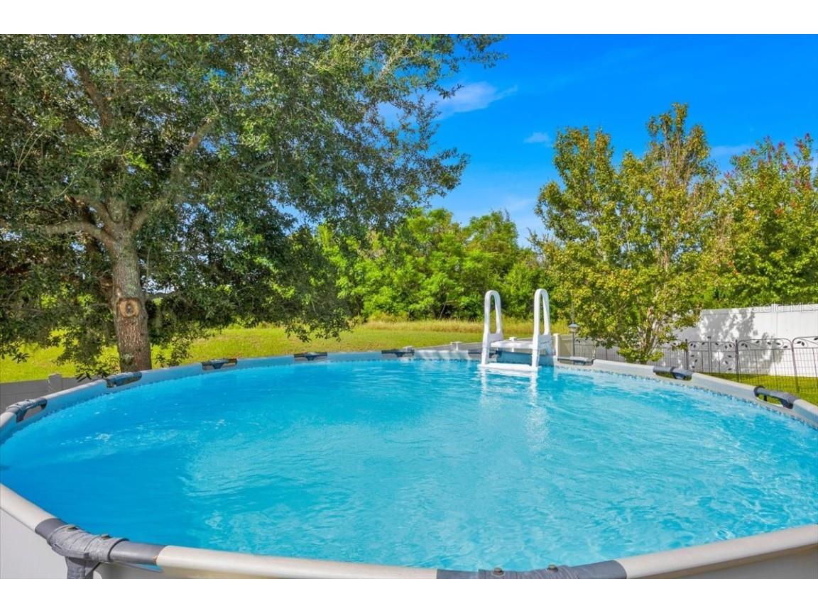 1262 Merion Drive Mount Dora FL 32757 O6341634 image50