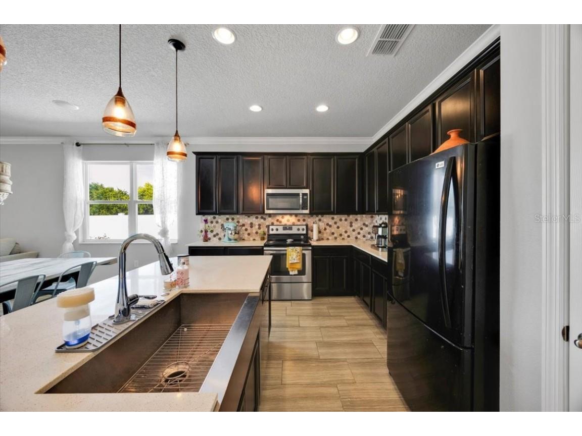 1262 Merion Drive Mount Dora FL 32757 O6341634 image8