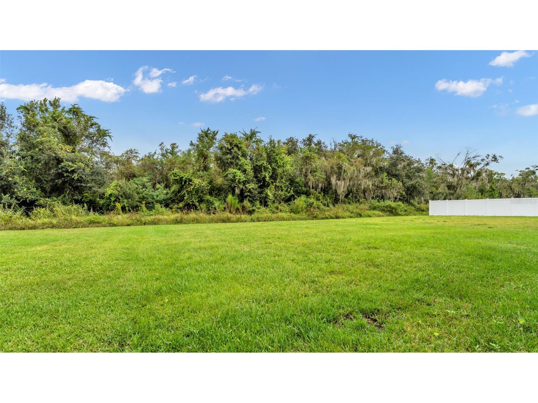 1262 Pintail Place Lakeland FL 33813 L4956248 image43