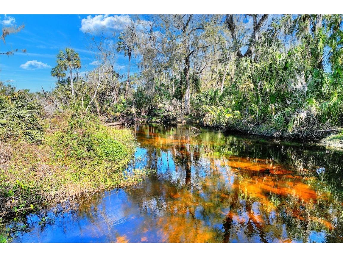 12620 Amber Lane Lithia FL 33547 - SOUTH PRONG OF THE ALAFIA T3430429 image1