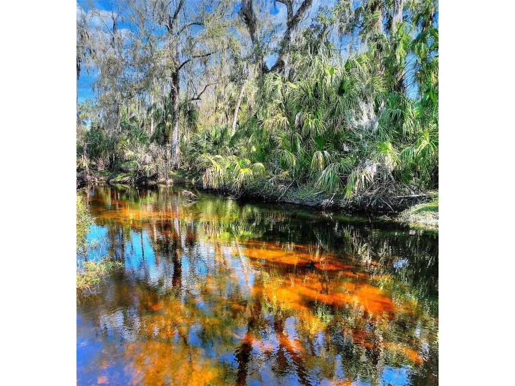 12620 Amber Lane Lithia FL 33547 - SOUTH PRONG OF ALAFIA RIVER T3431302 image1